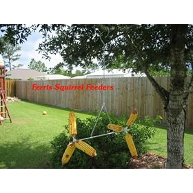 Balance Beam Squirrel Feeder by 