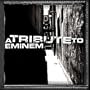 Tribute to Eminem