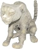 Mummy Cat