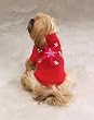 Dog Sweater - Twinkling Star Light-Up Dog Sweater - Medium