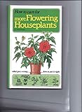 How to care for more flowering houseplants