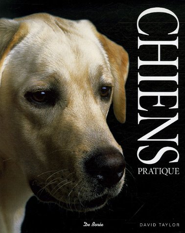City Travel Guides Discounted  Livres : Les chiens
