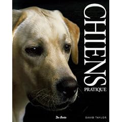 Les chiens
