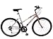 Titan Womens Pioneer Mountain Bike
