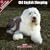 2009 Old English Sheepdog Wall Calendar