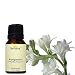Devinez Rajnigandha Floral Water, 100% Pure & Undiluted, 30ml RS.349.00