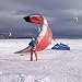 Produkt-Bild: Snowkite Privatkurs