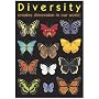 POSTER DIVERSITY CREATES