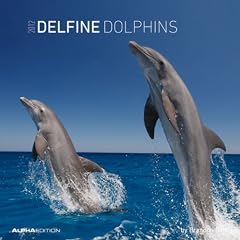 Delfine 2012. Brosch�renkalender 30 x 30 cm