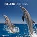 Delfine 2012. Brosch�renkalend