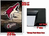 Framed Phoenix Coyotes Poster Team Logo Howl Fr4676