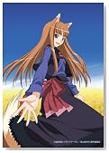 �T�ƍ��h��6 [DVD]�̃C���[�W���g�傷��