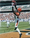 A.J. Green Autographed/Hand Signed Bengals TD Catch Action 16x20 Photo