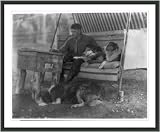 Historic Print (M): [Albert Payson Terhune writing at outdoor desk, surrounded by collies Lad, Bruce, and Wo