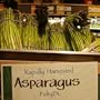 Rapidly Harvested Asparagus