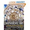 Prehistoric Life: Evolution and the Fossil Record