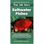 The 101 Best Saltwater Fishes (Adventurous Aquarist Guide)