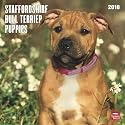 Staffordshire Bull Terrier Puppies 2010 Square Wall