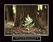 7 assorted 22x28 inch Motivational Posters Inspirational Art Prints