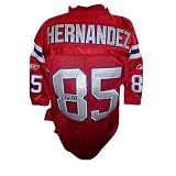 Aaron Hernandez Autographed New England Patriots (Red Throwback #85) Jersey - AH Holo