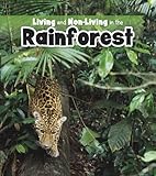 Living and non-living in the rainforest