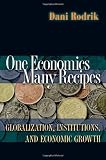 One Economics, Many Recipes: Globalization, Institutions, and Economic Growth