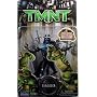 Teenage Mutant Ninja Turtles Shredder