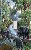 Bear Woods Decorative Switchplate Cover