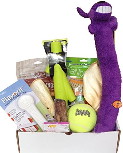 Woof! Doggie Gift Box (Play Time, For X-Large Size Dogs)