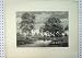 c1864 VIEW MARE RIVER BELLE CROIX MAN FISHING OLD PRINT