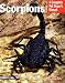 Scorpions (Complete Pet Owner's Manual)