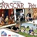 NASCAR Pets 2009 Wall Calendar