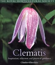Clematis Royal Horticultural Society