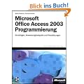 Microsoft Office Access 2003 Programmierung: Grundlagen, Anwendungsbeispiele und Praxisl�sungen