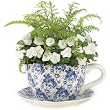 Gifts & Decor Blue Floral Teacup Saucer Decorative Garden Planter