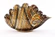 Tortoise Shell Clam-Cloud