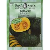 Squash Buttercup (Winter)