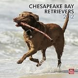 Chesapeake Bay Retrievers 2012 Square 12X12 Wall Calendar (Multilingual Edition)