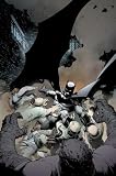 Batman Vol. 1: The Court of Owls