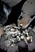 Search : Batman Vol. 1: The Court of Owls