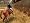 The Whitaker Family Presents: Horse Life (Nintendo DS)