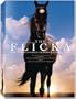 Flicka Giftset Collection