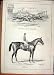 1877 Horse Racing Hilarious Cesarewitch Macaroon