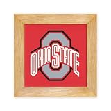 Ohio State University Buckeyes Trivet - Wall Hanging