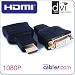 HDMI