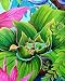 Tropical Rainforest Red Eyed Tree Frog In Bromeliad Giclee Print Painting Signed By Artist (Unframed)