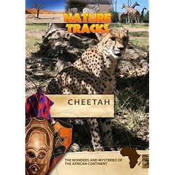 Nature Tracks Cheetah