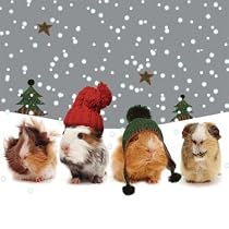 The Christmas Gang Guinea Pigs Luxury Christmas Card Pack