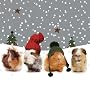 The Christmas Gang Guinea Pigs Luxury Christmas Card Pack