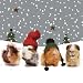 Kitchen & Housewares : The Christmas Gang Guinea Pigs Luxury Christmas Card Pack